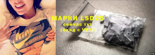 ПСИЛОЦИБИНОВЫЕ ГРИБЫ Михайлов