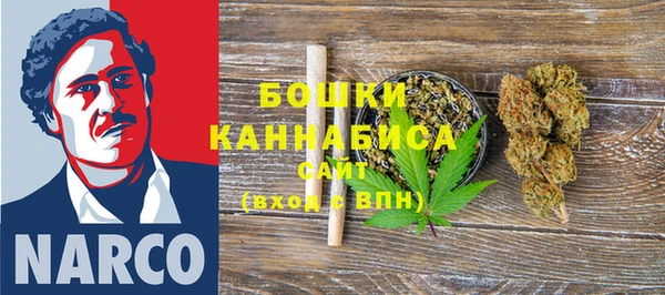 ПСИЛОЦИБИНОВЫЕ ГРИБЫ Михайлов