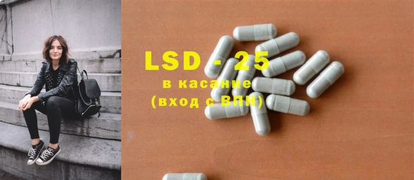 индика Алзамай