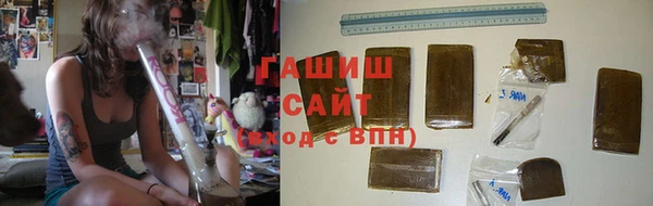 индика Алзамай