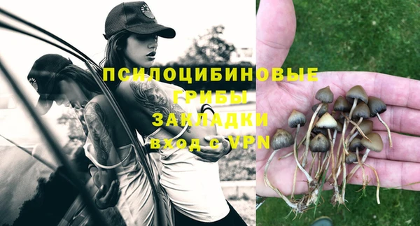 индика Алзамай