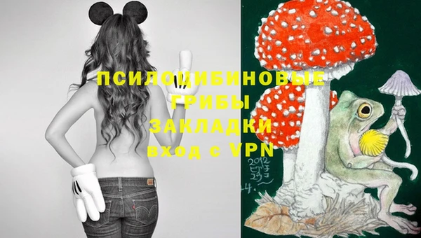 ешки Аркадак