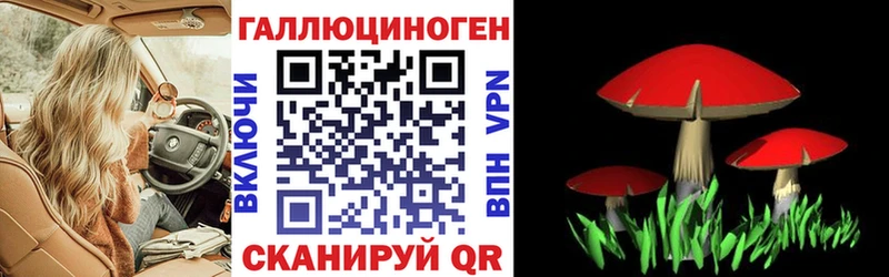 Галлюциногенные грибы Psilocybe  мега зеркало  Александров  купить наркотик 